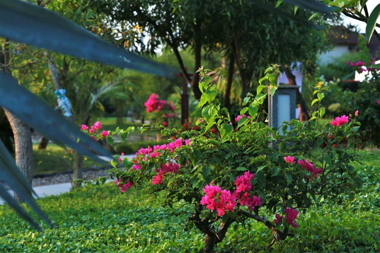 Bao Ninh Beach Resort Ðồng Hới Buitenkant foto